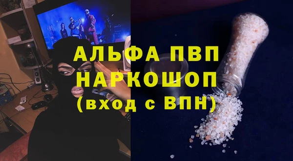 стафф Надым