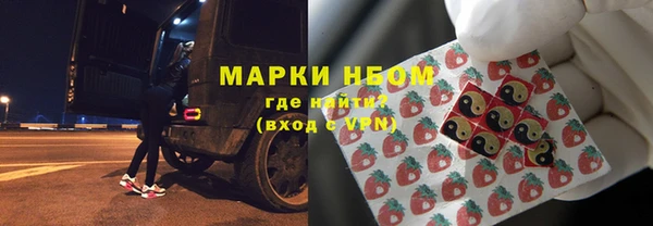 стафф Надым