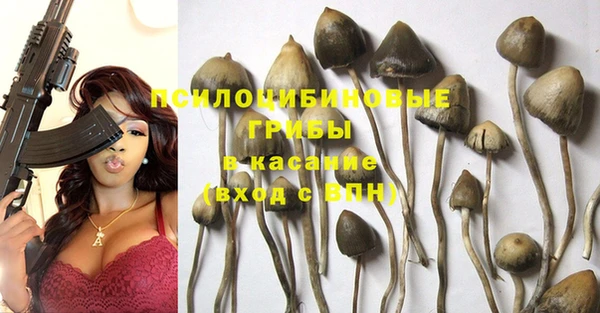 эйфоретик Навашино