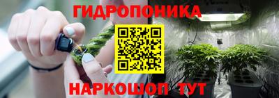каннабис Волжский