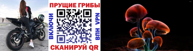 купить закладку Чебоксары даркнет телеграм Псилоцибиновые грибы Psilocybine cubensis