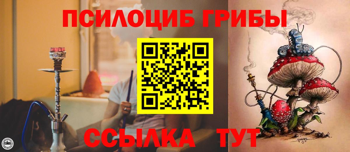 Псилоцибиновые грибы прущие грибы Чебоксары